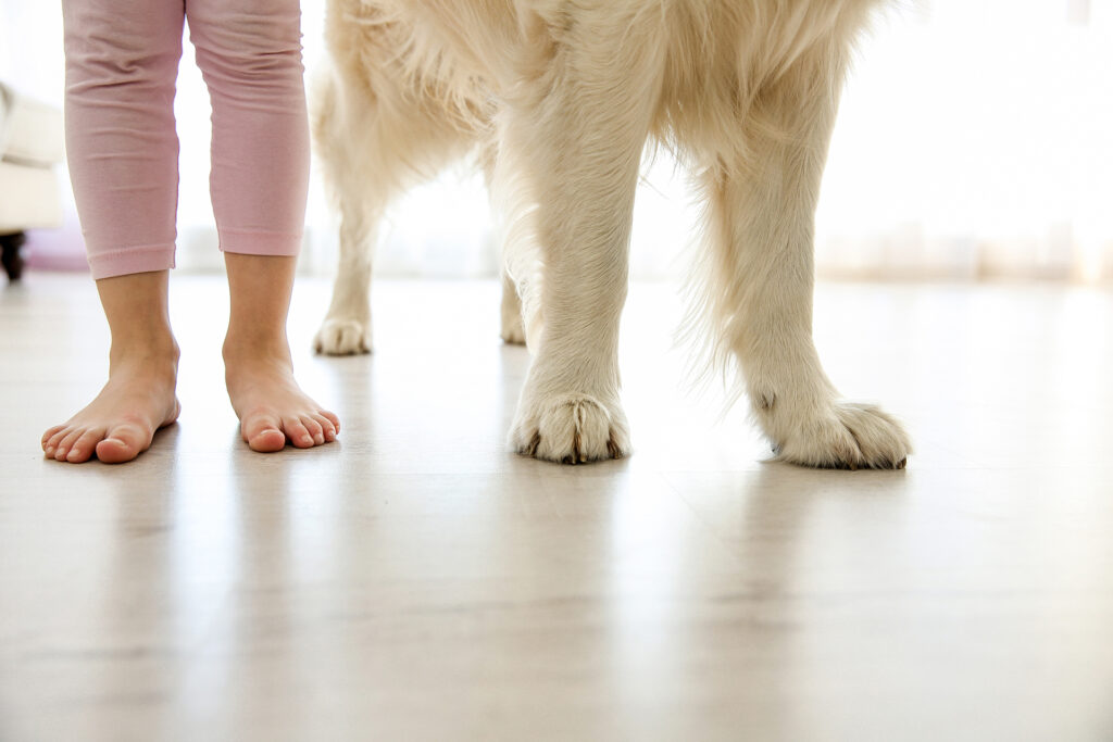 the feet and paws of a child and their dog on a good flooring for dogs