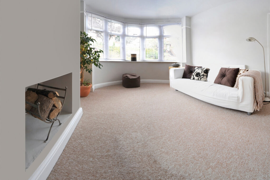 a beautifully carpeted living room area